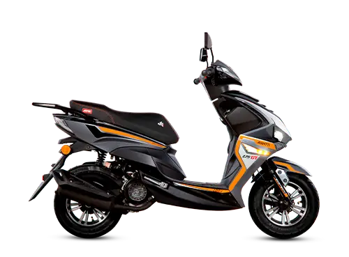 AVANTTI 175