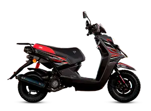 FORTTE 175