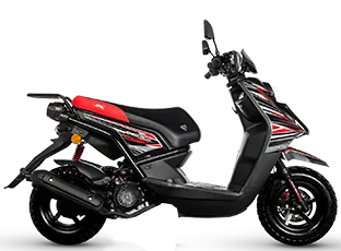 FORTTE 175