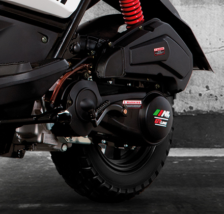 FORTTE 175