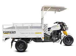 FORZZA 300