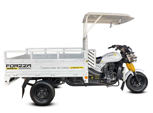 FORZZA 300