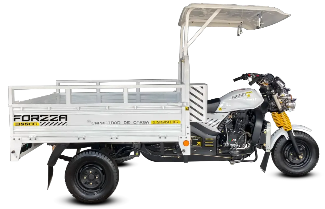 FORZZA 300
