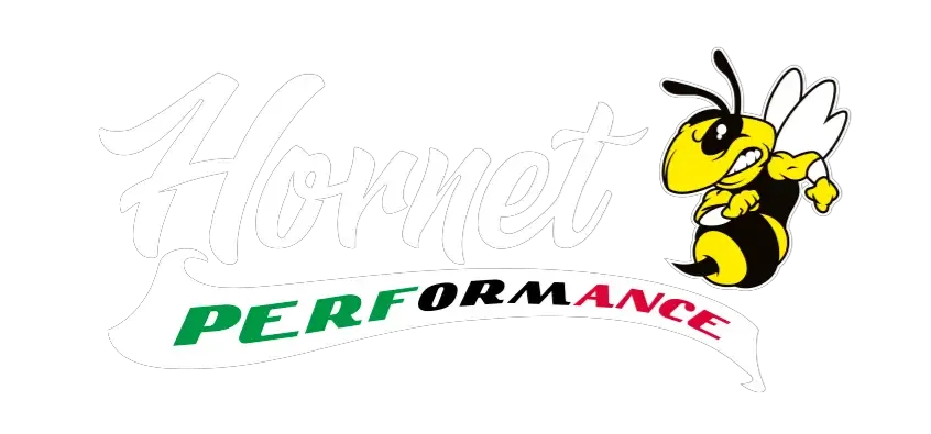 HORNET 300 logo