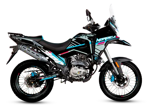 NÓRDICA 300