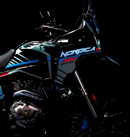 NÓRDICA 300