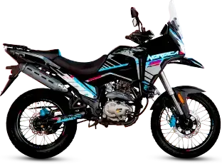 NÓRDICA 300