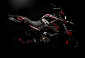 MB-Singl-Performance-TEKKEN250-Section6-img1-300x204